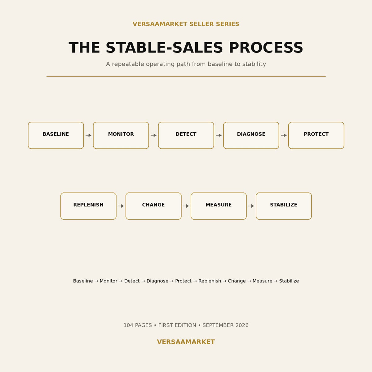 Building Stable Amazon Sales Guide